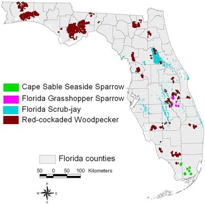 Interpreting Smoke Signals: Fire Ecology and Land Management for Four Federally Listed Birds